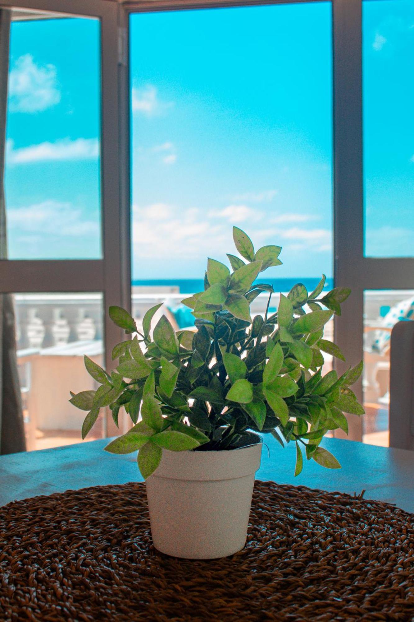 Vista Mar - Seafront Holiday Apartments サンタ・マリア エクステリア 写真